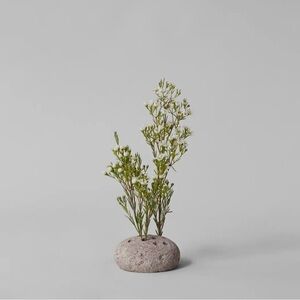 Round Stone Frog NEW Home Decor